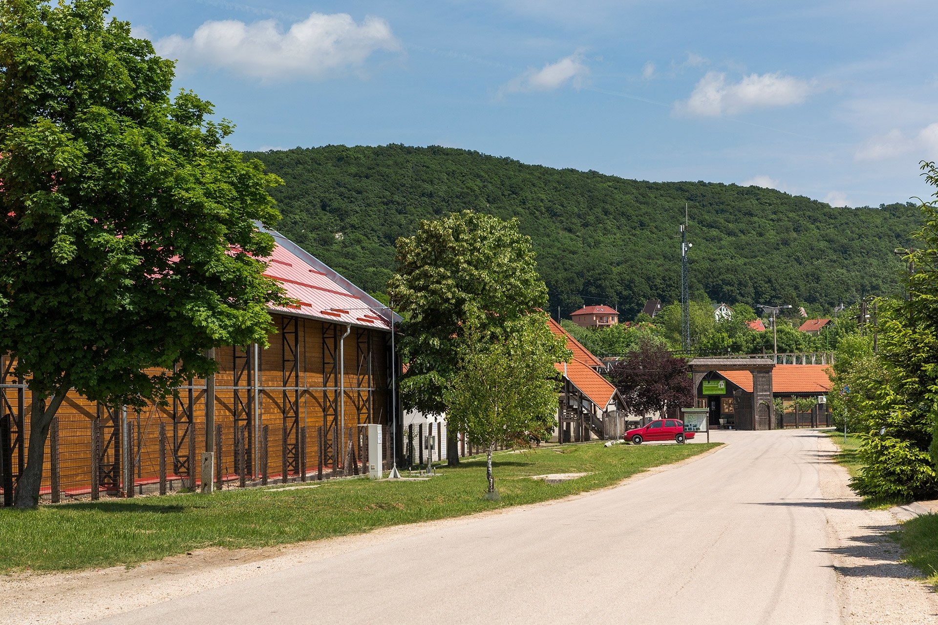 Woodchips. Clean Energy.